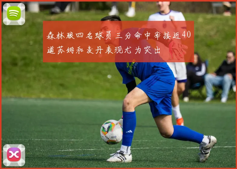 森林狼四名球员三分命中率接近40道苏姆和麦丹表现尤为突出