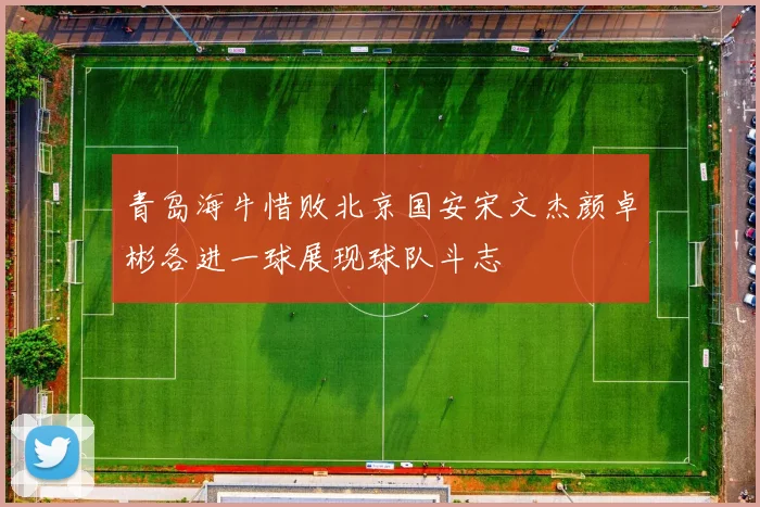 青岛海牛惜败北京国安宋文杰颜卓彬各进一球展现球队斗志